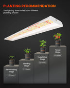 Spider Farmer SF600 74W LED-Pflanzenlampe Vorschlag Pflanzabstand