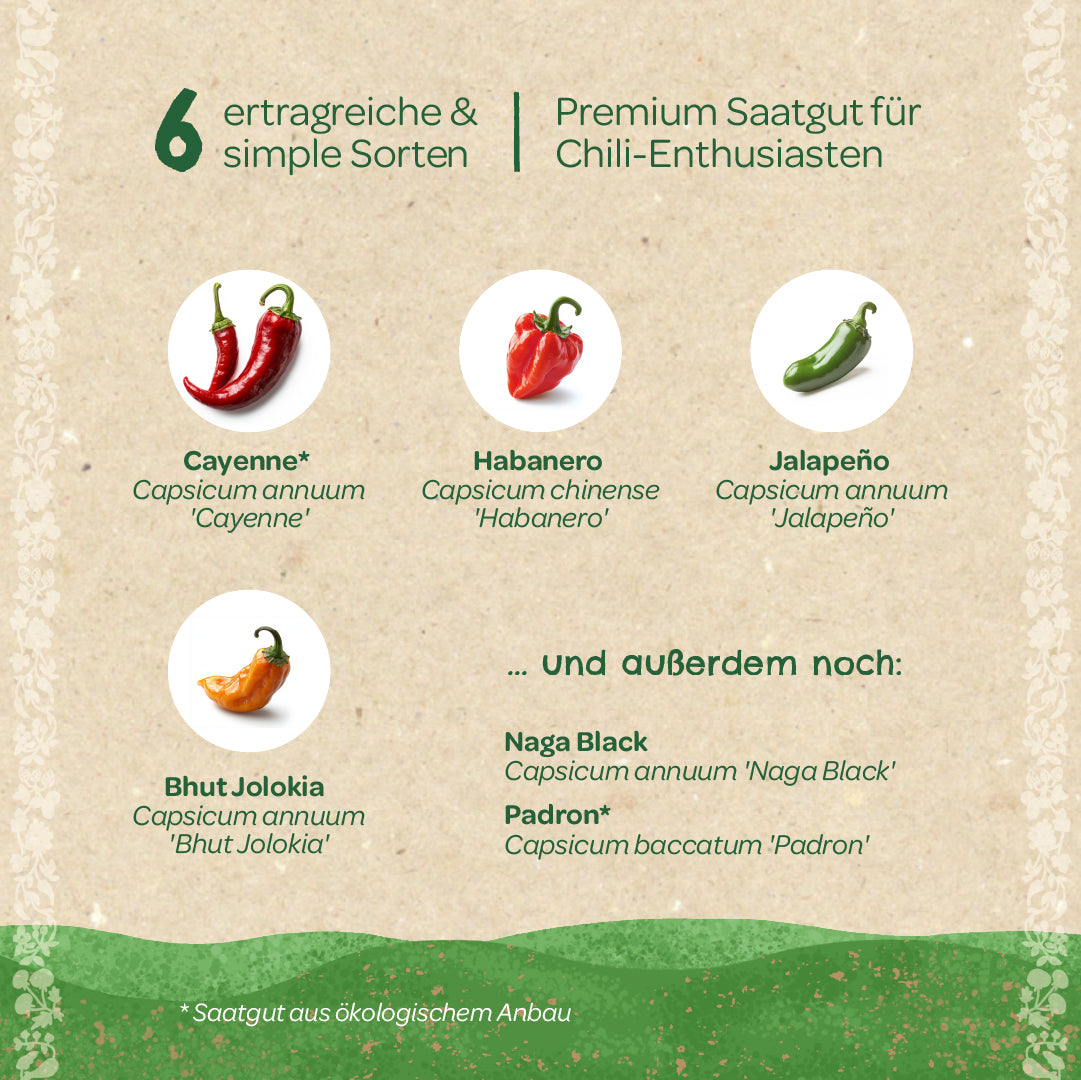 BIO-Saatgut-Set "Chili" Inhalt und Sorten