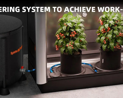 2-teiliges Selbstbewässerungssystem für Indoor-Zuchtzelte und Gewächshäuser - organic-design.com