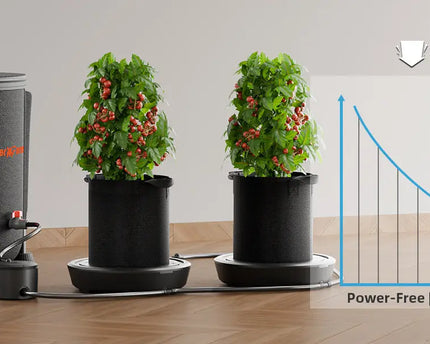 Selbstbewässerungssystem Aufbau Schritt 1 - Positionierung der selbstbewässernden Topfböden