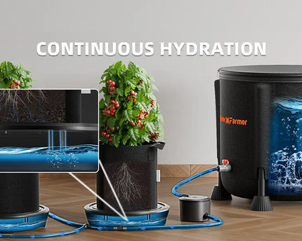 Selbstbewässerungssystem Aufbau Schritt 1 - Positionierung der selbstbewässernden Topfböden