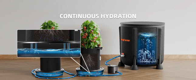 Selbstbewässerungssystem Aufbau Schritt 1 - Positionierung der selbstbewässernden Topfböden