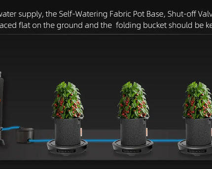 Selbstbewässerungssystem in Betrieb - Schwerkraft-Bewässerung für gesunde Wurzelentwicklung