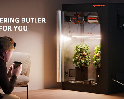 Selbstbewässerungssystem Ergebnis - Optimale Pflanzengesundheit durch gleichmäßige Feuchtigkeit