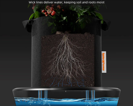 Schwerkraft-Bewässerungssystem Detailansicht - Automatische Pflanzenbewässerung ohne Energieverbrauch