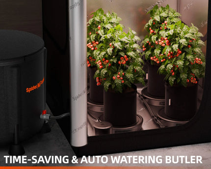 Selbstbewässerungssystem Größenvergleich - Perfekt für 3x3' und 4x2' Grow Zelte