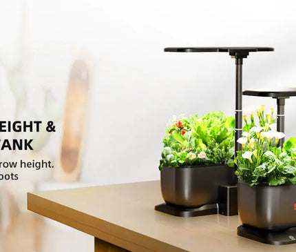 Smart Hydroponik Indoor Garten Kräuter Gemüse Anbau automatische Bewässerung WiFi Kontrolle
Anbau