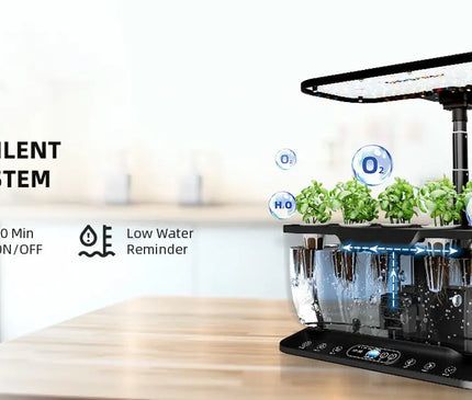 Smart Hydroponik Indoor Garten Kräuter Gemüse Anbau automatische Bewässerung WiFi Kontrolle
Anbau