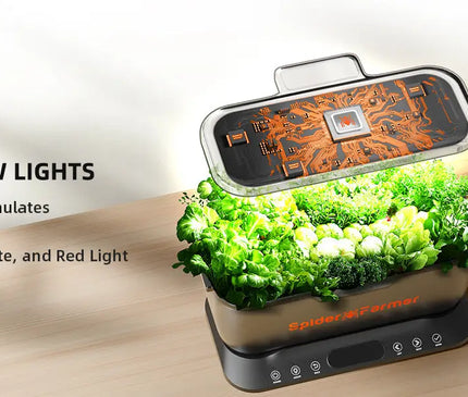 Smart Hydroponik Indoor Garten Kräuter Gemüse Anbau automatische Beleuchtung WiFi Kontrolle
Anbau