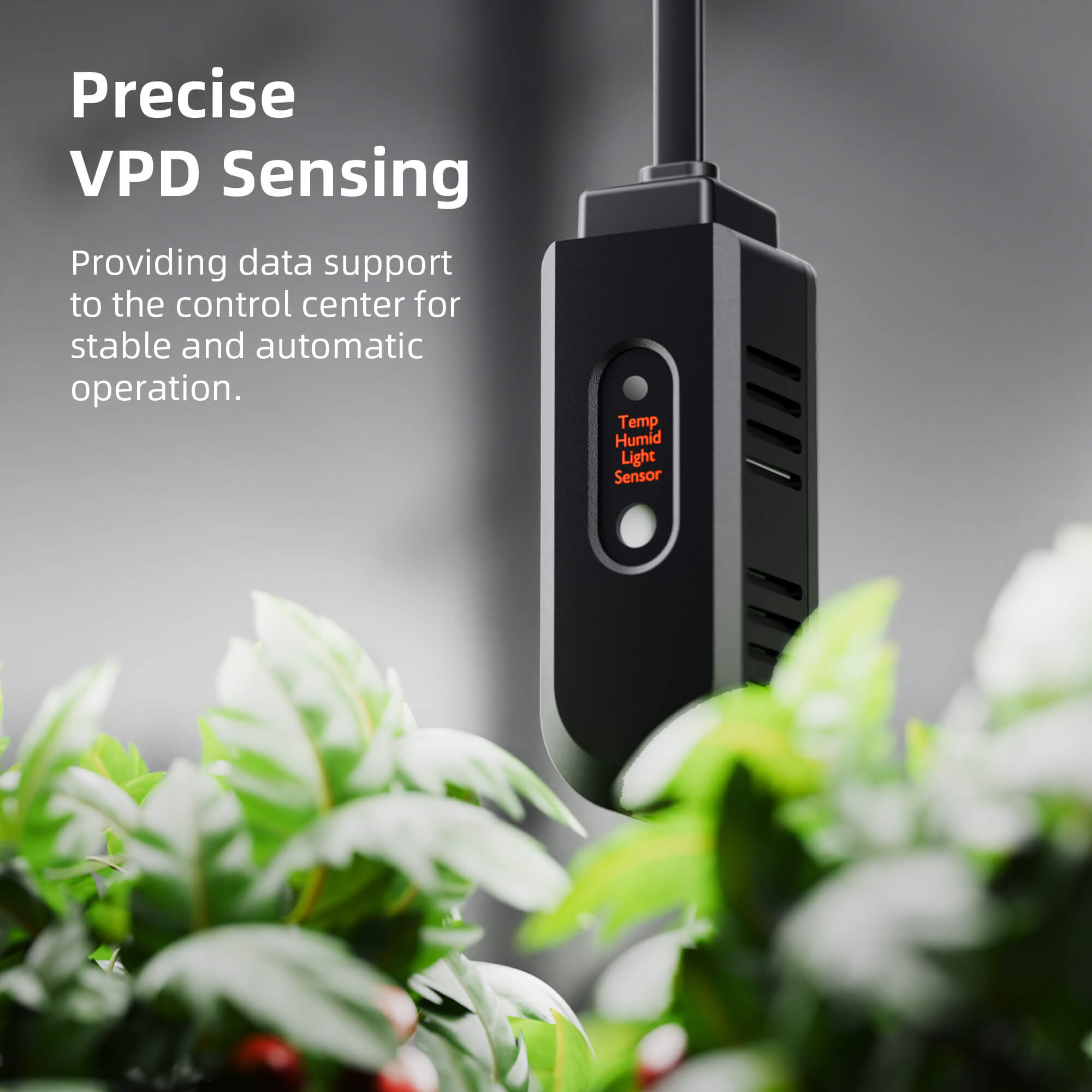 Spider-Farmer-GGS Controller