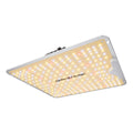 Spider Farmer SF1000 100W LED-Pflanzenlampe mit Bridgelux LEDs – Version 2026