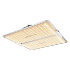 Spider Farmer SF2000 Pro 200W LED Pflanzenlampe – Version 2026