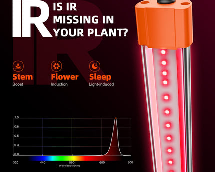 Spider Farmer IR16 Spektrum-Analyse - 730nm Infrarotlicht für optimale Blütenentwicklung