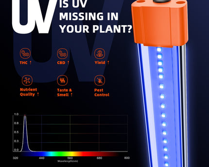 Spider Farmer UV30 Spektrum-Analyse - 365nm UV-A Licht steigert Potenz um 25%