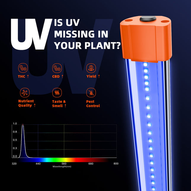 Spider Farmer UV30 Spektrum-Analyse - 365nm UV-A Licht steigert Potenz um 25%