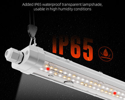Spider Farmer® Glow80 IP65 wasserdicht - Langlebiger Schutz für Indoor-Anwendungen