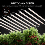 Spider Farmer® Glow80 Daisy-Chain Funktion - Mehrere Leisten einfach verketten