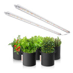 Spider Farmer® Glow80 80W Grow Light - Energieeffiziente LED-Technologie für Profis