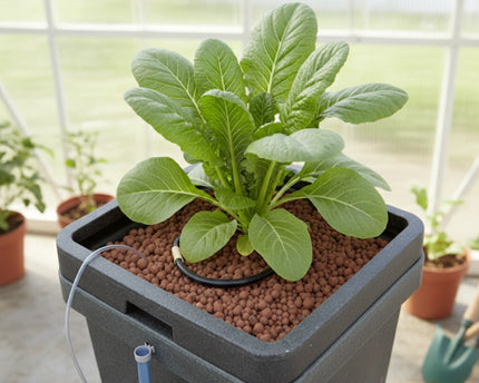 T.A. CultiMate L Box, hydroponisches System, inkl. Pumpe