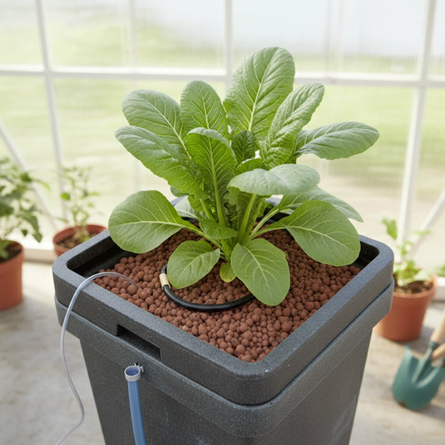 T.A. CultiMate S box, hydroponisches System, inkl. Pumpe, 30,5 x 30,5 x 37 cm, 15 L