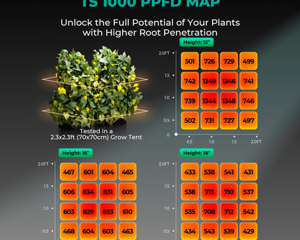 Mars Hydro TS 1000 Growbox Komplettset