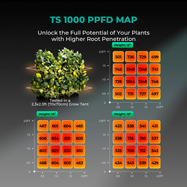 Mars Hydro TS 1000 Growbox Komplettset - organic-design.com