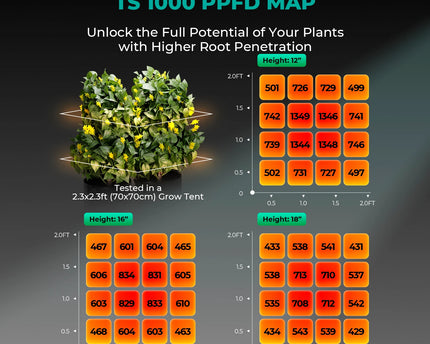 Mars Hydro TS 1000 Growbox Komplettset 80x80x160cm mit 150W LED