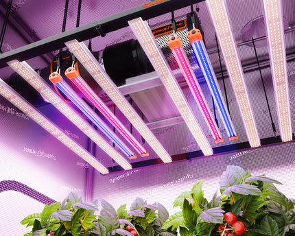 Spider Farmer UV30 & IR16 LED-Pflanzenlichtleisten-Set (60 cm) - organic-design.com