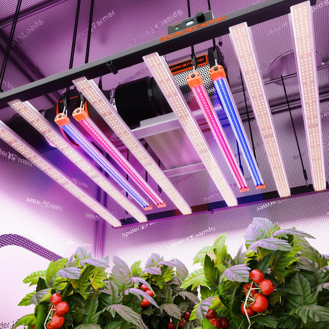 Spider Farmer UV30 & IR16 LED-Pflanzenlichtleisten-Set (60 cm)