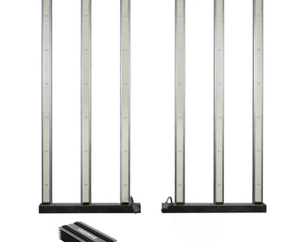 LED Maxibright Varidrive 2 720/960 mit Vorschaltgerät