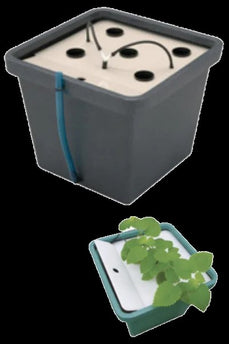 AeroFarm Aeroponik System 45x45x43cm kompakte Größe Indoor Hydroponik Terra Aquatica CultiMate