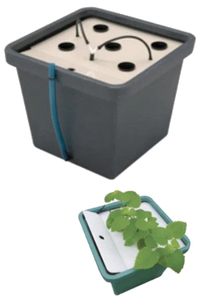 AeroFarm Aeroponik System 45x45x43cm kompakte Größe Indoor Hydroponik Terra Aquatica CultiMate