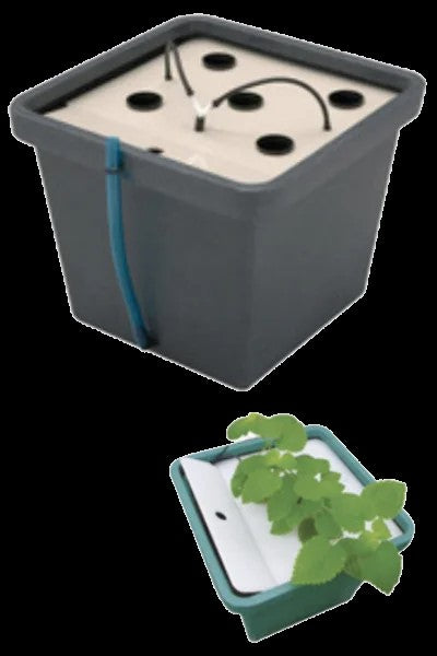 AeroFarm Aeroponik System 45x45x43cm kompakte Größe Indoor Hydroponik Terra Aquatica CultiMate