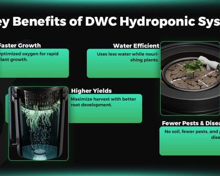 Mars Hydro 4 Eimer 5-Gallonen DWC Hydroponisches System - organic-design.com