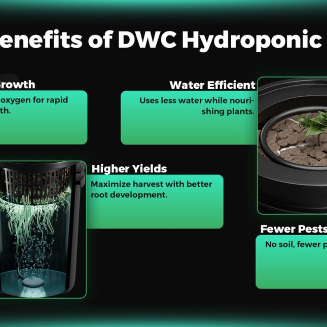 Mars Hydro 4 Eimer 5-Gallonen DWC Hydroponisches System - organic-design.com