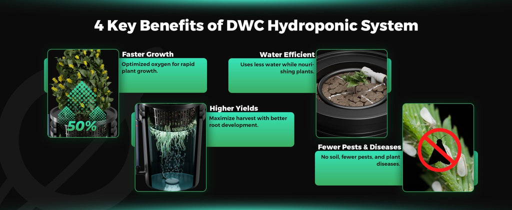 Mars Hydro 4 Eimer 5-Gallonen DWC Hydroponisches System - organic-design.com