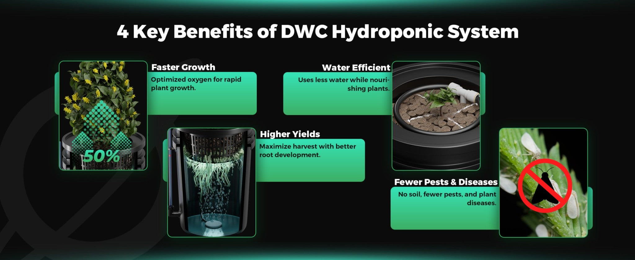 Mars Hydro 4 Eimer 5-Gallonen DWC Hydroponisches System - organic-design.com