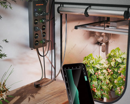 Spider Farmer GGS AC10 Steckdosenleisten-Kit Komplettpaket - 10 Smart-Steckdosen für professionelle Grower | organic-design.com