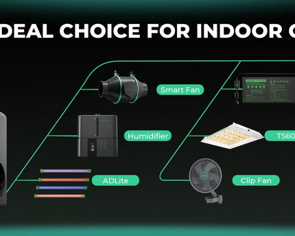 iTime Smart Timer für Indoor Growing EU-Version - Beleuchtungssteuerung