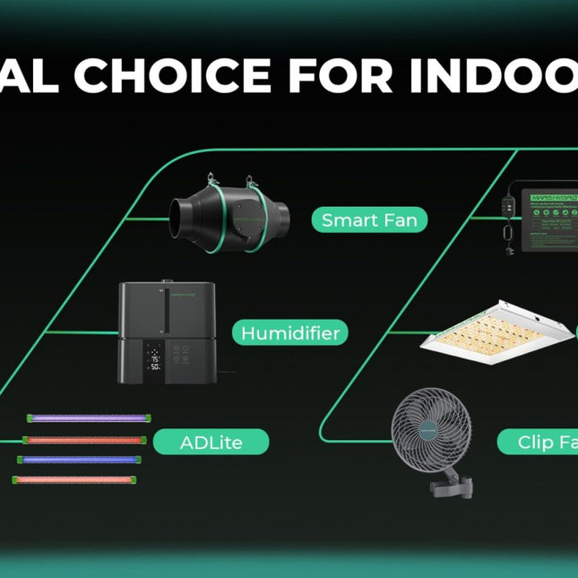 iTime Smart Timer für Indoor Growing EU-Version - Beleuchtungssteuerung