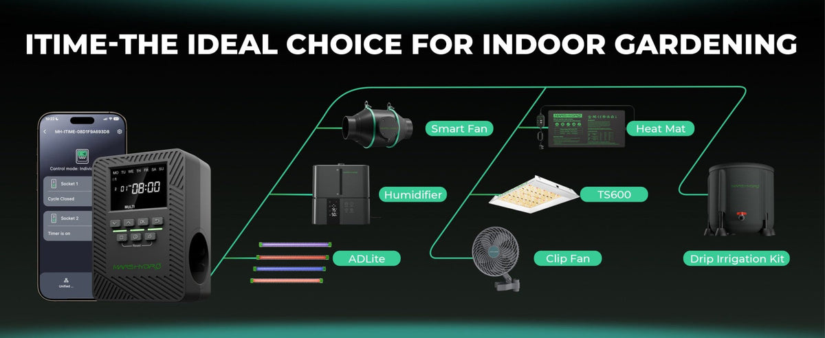 Mars Hydro iTime Smart Timer im Indoor-Growing-Setup