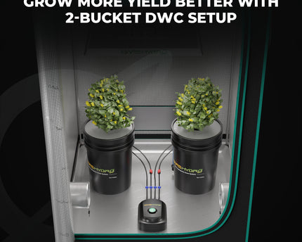 Mars Hydro DWC System mit 2 schwarzen 20L Eimern für Tiefwasserkultur