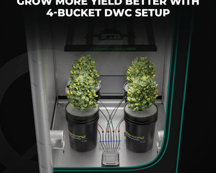 Mars Hydro 4 Eimer 5-Gallonen DWC Hydroponisches System - organic-design.com