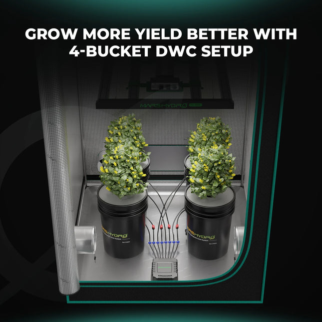 Mars Hydro 4 Eimer 5-Gallonen DWC Hydroponisches System - organic-design.com