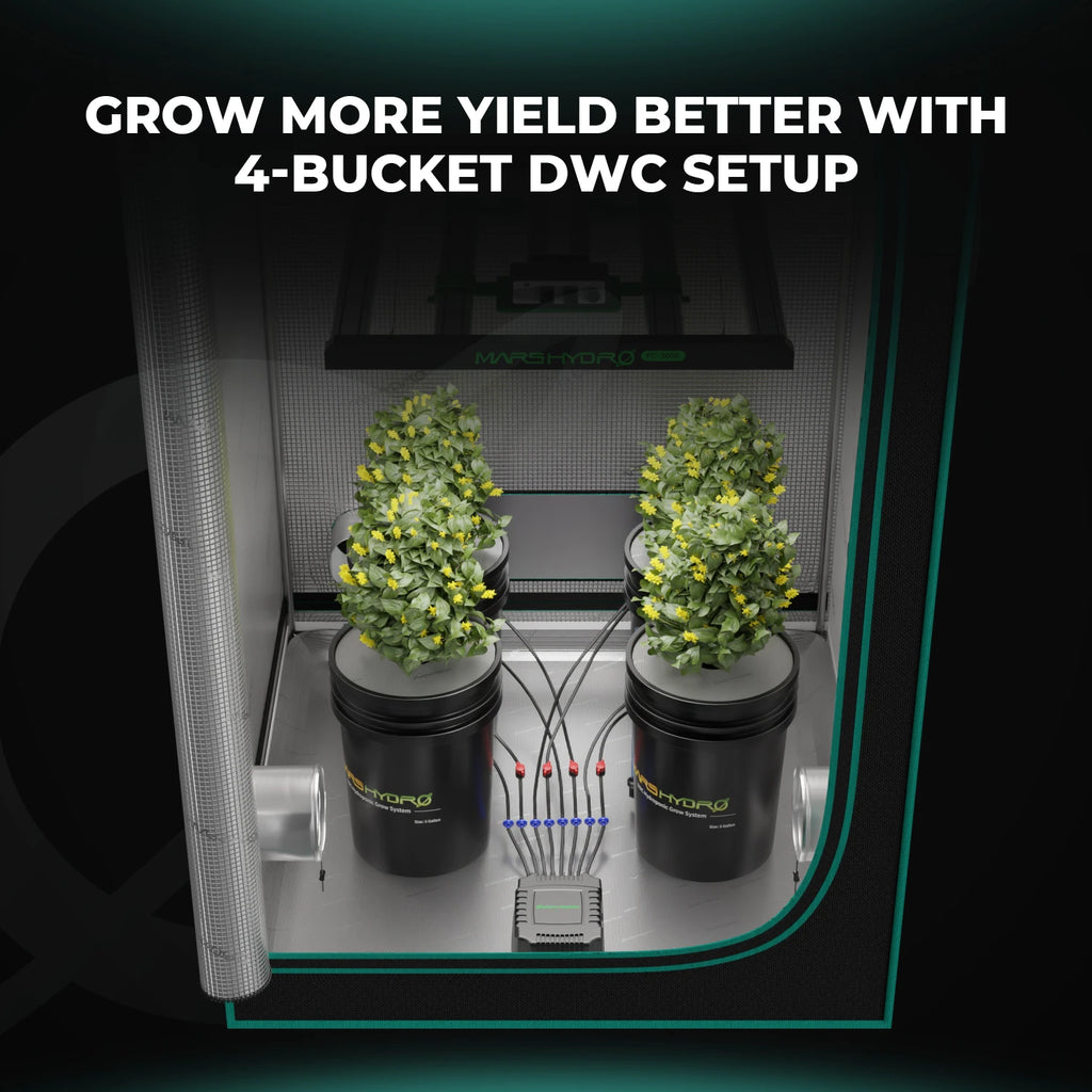 Mars Hydro 4 Eimer 5-Gallonen DWC Hydroponisches System - organic-design.com