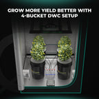 Mars Hydro 4 Eimer 5-Gallonen DWC Hydroponisches System - organic-design.com