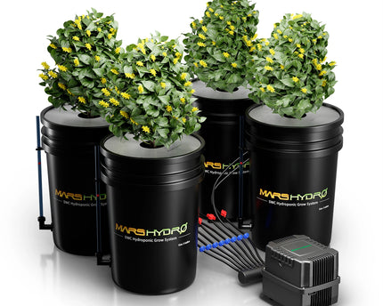 Mars Hydro 4 Eimer 5-Gallonen DWC Hydroponisches System - organic-design.com