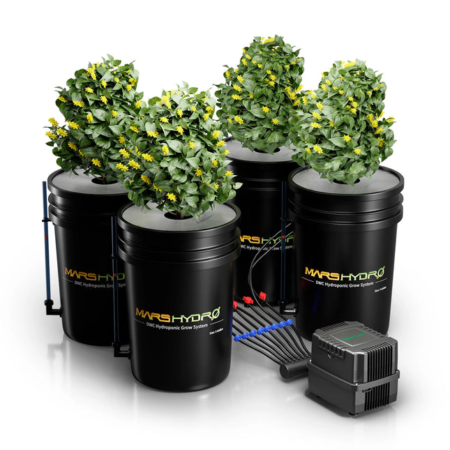 Mars Hydro 4 Eimer 5-Gallonen DWC Hydroponisches System - organic-design.com