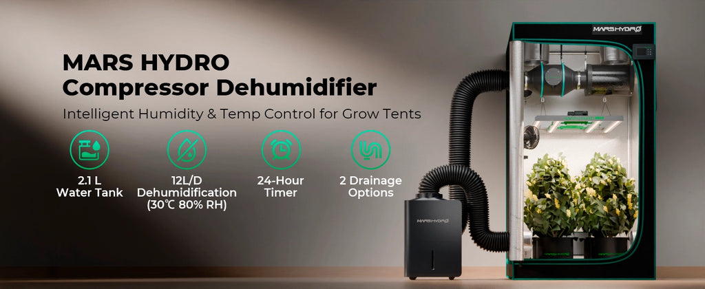 Mars Hydro Luftentfeuchter 12L/Tag Übersicht Betriebsmodi