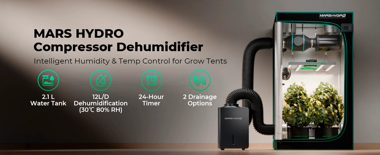 Mars Hydro Luftentfeuchter 12L/Tag Übersicht Betriebsmodi